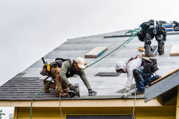 Professional Storm Damage Roof Repair technician working in Callicoon Center, NY